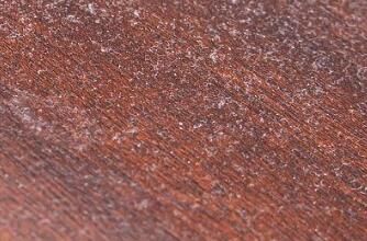 對(duì)于家里灰塵的清理，有什么方法嗎？