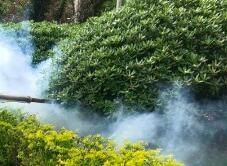 四害消殺完成后，需要做哪些鞏固工作呢？